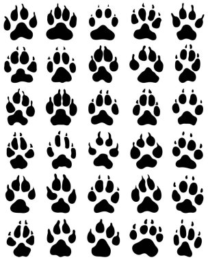 Beyaz arkaplanda köpek pençelerinin siyah baskısı