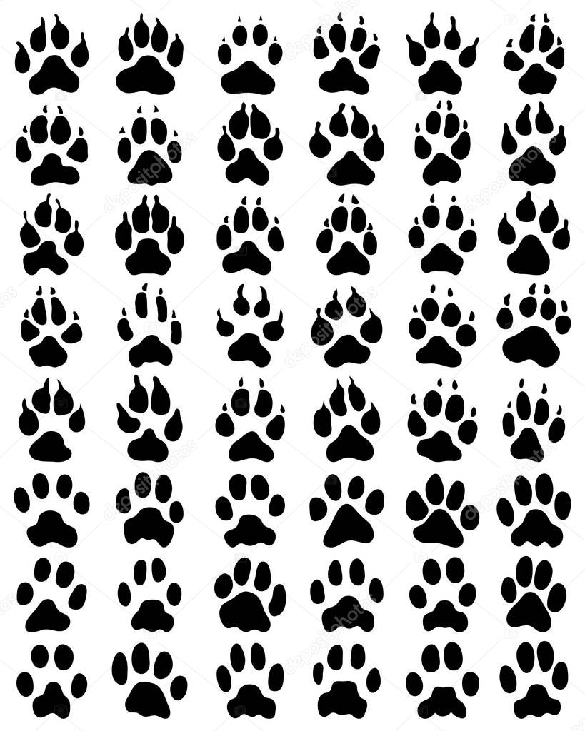 Black print of dogs paws on white background