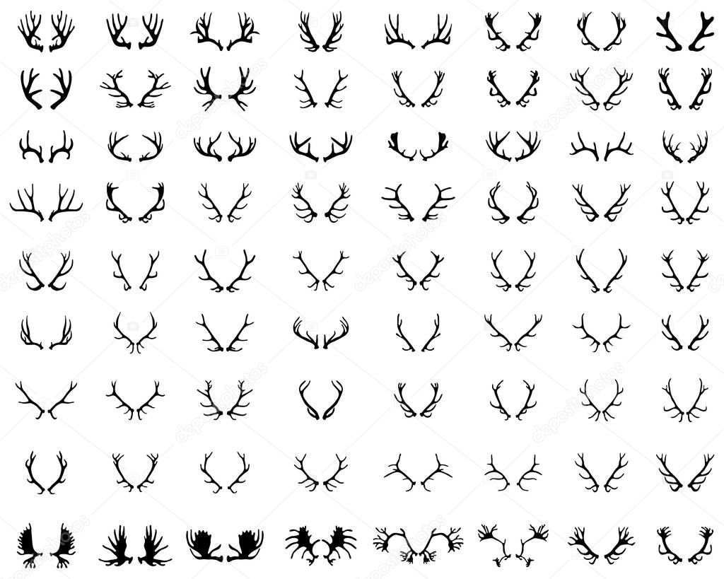 Black silhouettes of different deer horns on a white background