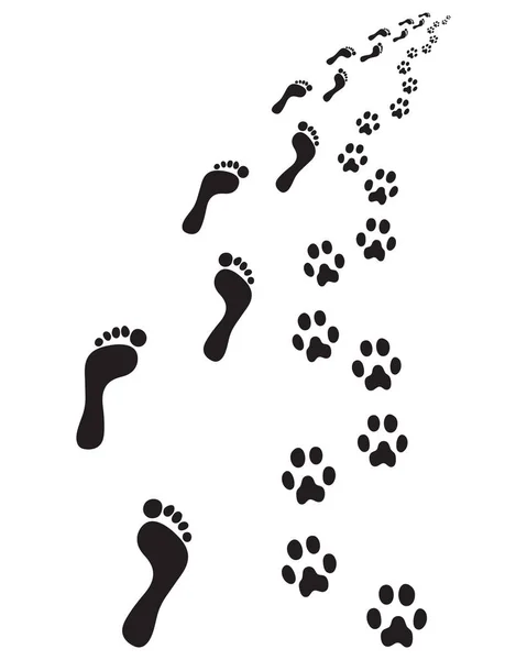 Fußabdrücke Von Nackten Füßen Und Pfoten Hund Rechts Abbiegen — Stockvektor