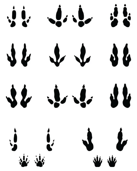 白い背景にカンガルーの足の黒い跡 — ストックベクタ