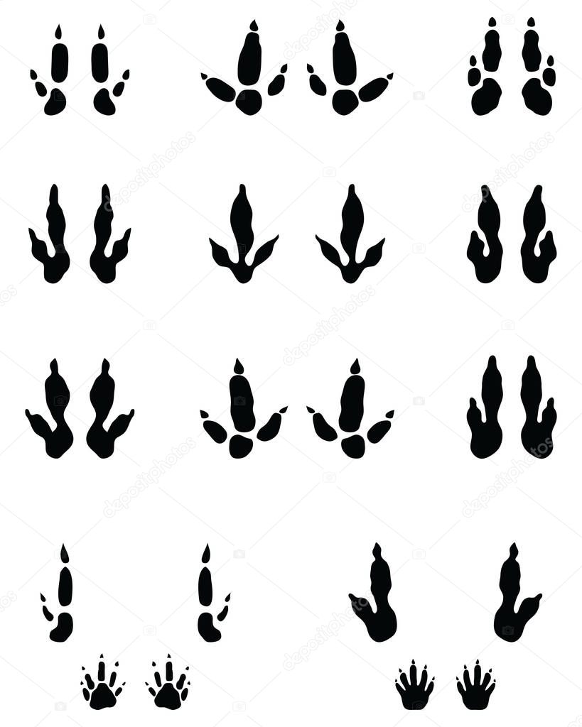 Black traces of kangaroo paws on a white background