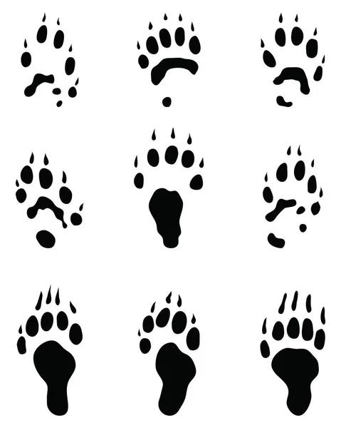 Huellas Negras Polecat Sobre Fondo Blanco — Vector de stock