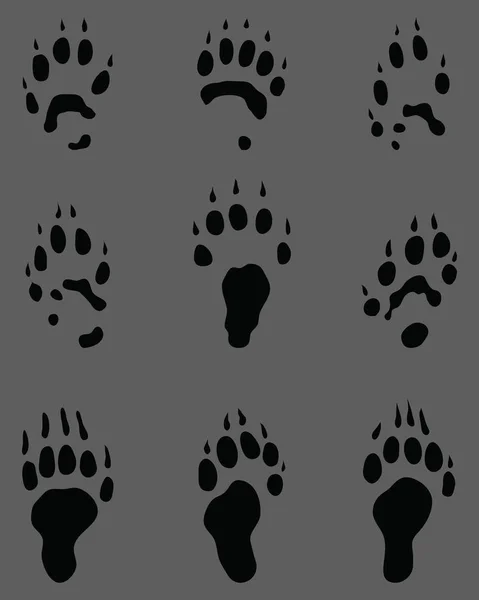 Black Footprints Polecat White Background — Stock Vector