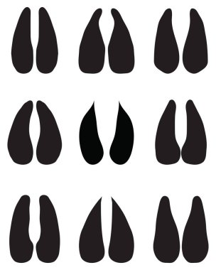 Beyaz arka planda koyun siyah ayak izleri