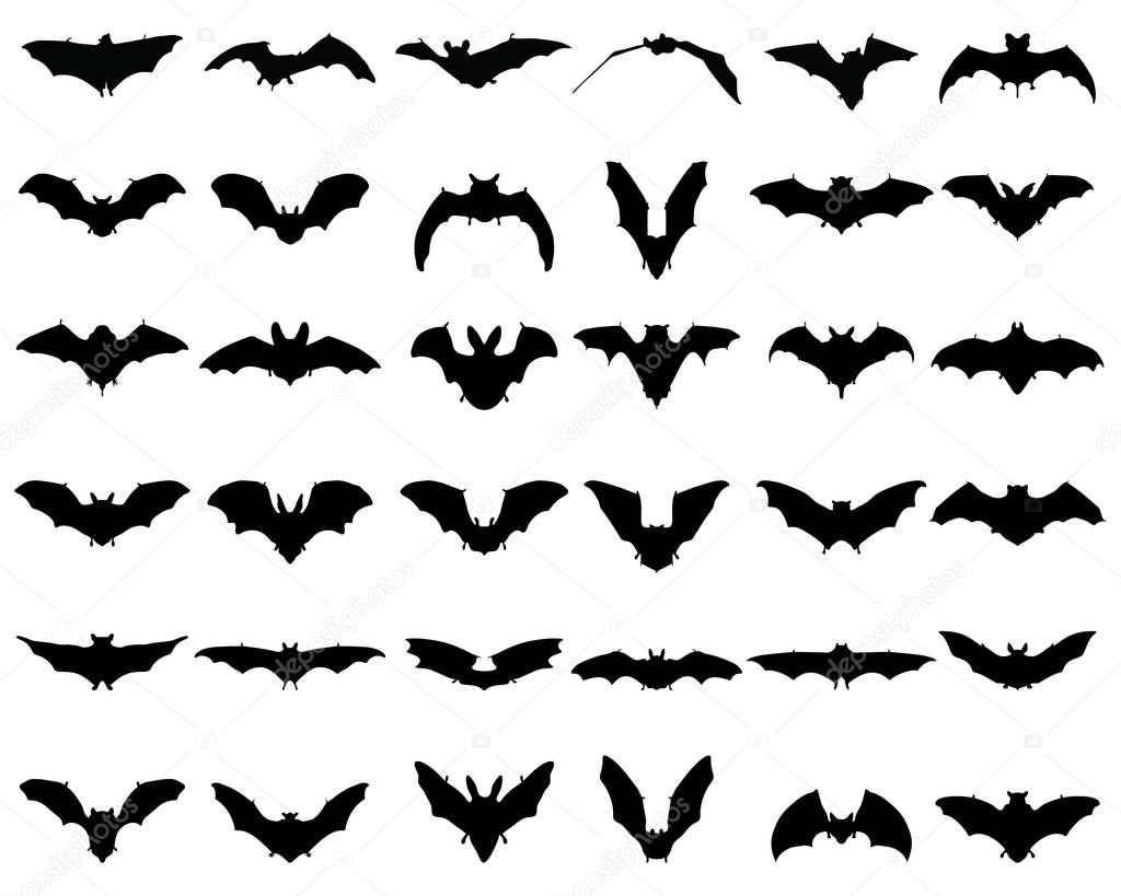 Black silhouettes of bats on a white background