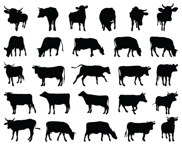 Silhouettes Noires Collection Vaches Sur Fond Blanc — Image vectorielle