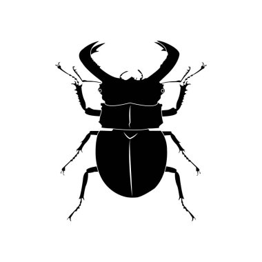 Böcek simgesi vektör illüstrasyon tasarımı