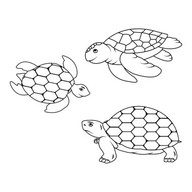 Kaplumbağa illüstrasyon simgesi vektör tasarımı
