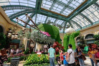 Las Vegas, Nevada - 28 Mayıs 2018: Bellagio Hotel Konservatuarı ve Botanik Bahçeleri Las Vegas toplayan