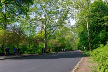 New york, Amerika Birleşik Devletleri - 12 Mayıs 2018: View of Central Park bahar New York'ta