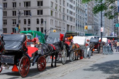 New York, ABD - 8 Mayıs 2018: Ve atımı Central Park, Nyc