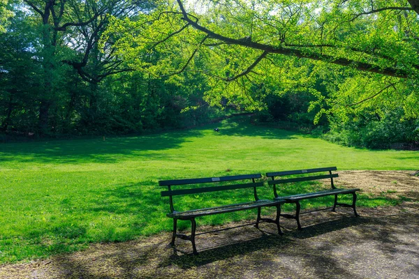 Νέα Υόρκη Ηνωμένες Πολιτείες Μάιος 2018 Προβολή Του Central Park — Φωτογραφία Αρχείου