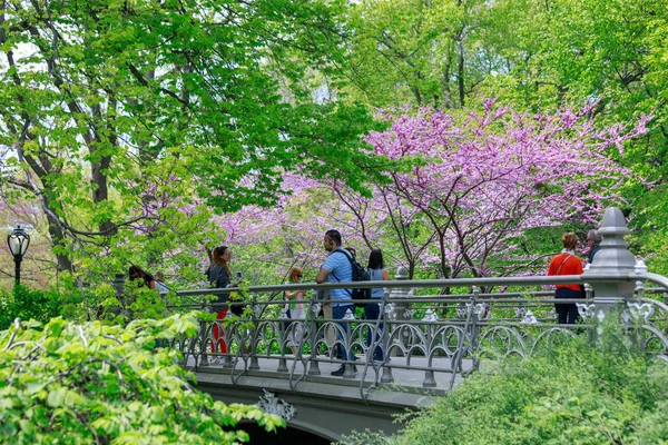 Nueva York Estados Unidos Mayo 2018 Paisaje Central Park Primavera — Foto de Stock