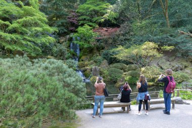 Portland, Oregon, USA - April 26, 2018 : Beautiful Japanese Garden in Portland at spring season clipart