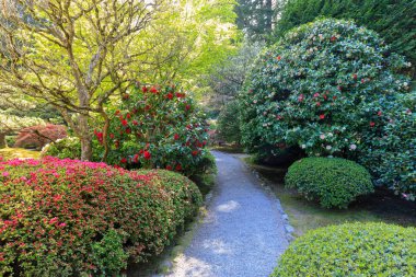 Portland, Oregon, Amerika Birleşik Devletleri - 26 Nisan 2018: Güzel Japon Bahçe Portland bahar sezonu