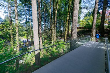 Portland, Oregon, Amerika Birleşik Devletleri - 26 Nisan 2018: Güzel Japon Bahçe Portland bahar sezonu