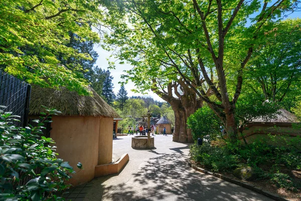 Portland Oregon Eua Abril 2018 Cenário Oregon Zoo Que Está — Fotografia de Stock