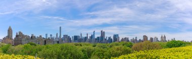 Midtown Manhattan siluetinin central park içinde güneşli günde Panoraması
