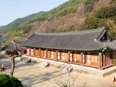 Gurye, Güney Kore - 26 Mart 2018: sahne, Hwaeomsa antik Tapınağı ile Kore Budist Tapınağı Jirisan Milli Parkı'nda