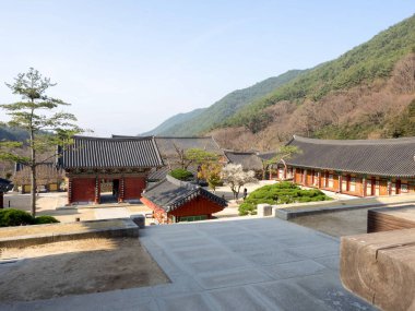 Gurye, Güney Kore - 26 Mart 2018: sahne, Hwaeomsa antik Tapınağı ile Kore Budist Tapınağı Jirisan Milli Parkı'nda