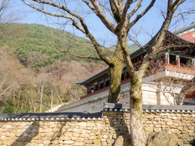 Gurye, Güney Kore - 26 Mart 2018: sahne, Hwaeomsa antik Tapınağı ile Kore Budist Tapınağı Jirisan Milli Parkı'nda