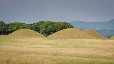 Gyeongju Kraliyet mezarları, Daereungwon Gyeongju