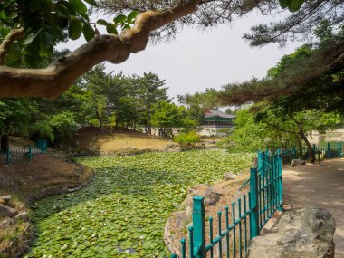 Donggung Sarayı ve Wolji gölet Gyeongju, Güney Kore