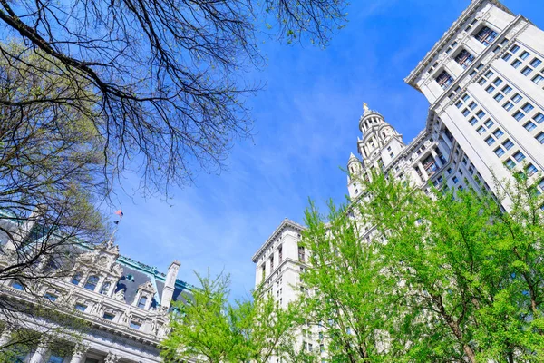 Belediye Binası Manhattan'da, Nyc