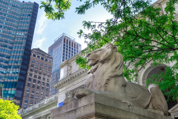 Lion Bewaken Van New York Public Library Manhattan Nyc — Stockfoto