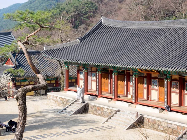 Gurye, Güney Kore - 26 Mart 2018: sahne, Hwaeomsa antik Tapınağı ile Kore Budist Tapınağı Jirisan Milli Parkı'nda