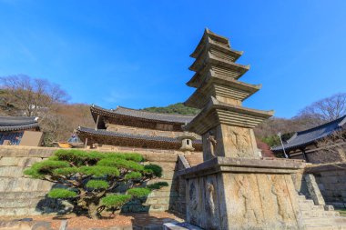 Gurye, Güney Kore - 26 Mart 2018: sahne, Hwaeomsa antik Tapınağı ile Kore Budist Tapınağı Jirisan Milli Parkı'nda