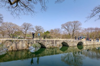 Geleneksel Gwanghalluwon Pavilion sahne bahar