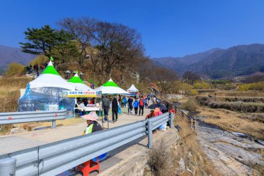 Gurye, Güney Kore - 26 Mart 2018: sahne Cornus officinalis çiçek Festivali Gurye