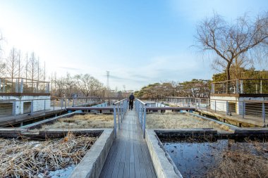 Seoul, Güney Kore Seonyudo Park manzarası. Parkta bir Filtrasyon tesisi, böylece endüstriyel bak, eskiden ama ekolojik bir parka dönüştürüldü.