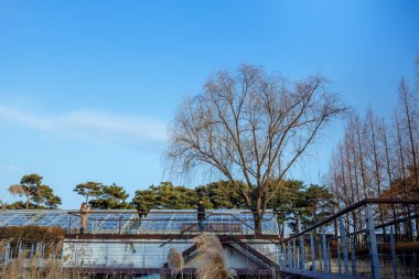 Seoul, Güney Kore Seonyudo Park manzarası. Parkta bir Filtrasyon tesisi, böylece endüstriyel bak, eskiden ama ekolojik bir parka dönüştürüldü.