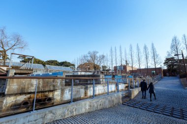 Seoul, Güney Kore Seonyudo Park manzarası. Parkta bir Filtrasyon tesisi, böylece endüstriyel bak, eskiden ama ekolojik bir parka dönüştürüldü.