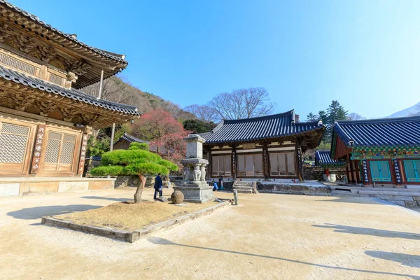 Gurye Coreia Sul Março 2018 Cenário Templo Hwaeomsa Que Antigo — Fotografia de Stock