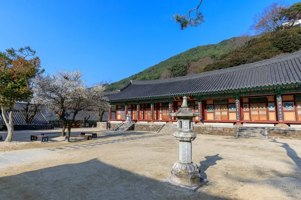 Gurye Jižní Korea Března 2018 Krajina Hwaeomsa Chrámu Který Starověké — Stock fotografie