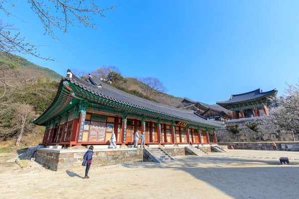 Gurye Corea Del Sur Marzo 2018 Paisaje Del Templo Hwaeomsa —  Fotos de Stock