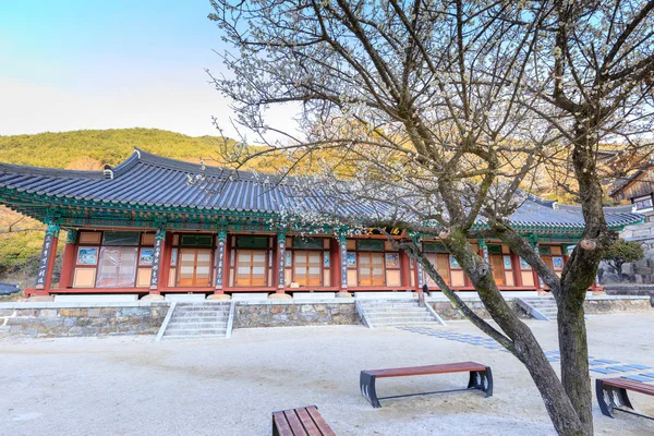 Gurye Sydkorea Mars 2018 Landskap Hwaeomsa Tempel Som Gamla Koreanska — Stockfoto