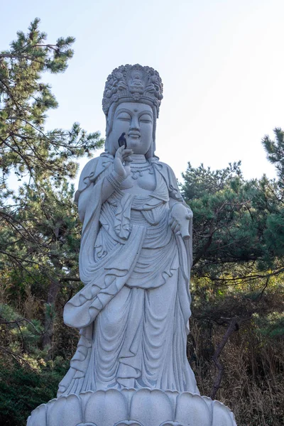 Busan Zuid Korea Maart 2018 Boeddhabeeld Haedong Yonggungsa Tempel Busan — Stockfoto