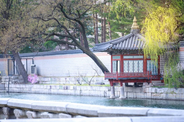 stock image Gyeongbokgung palace with cherry blossom tree in spring time in Seoul city