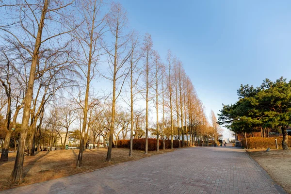 View of the Seonyudo Park in Seoul, South Korea. The park used to be a filtration plant, thus the industrial look, but was converted into an ecological park.