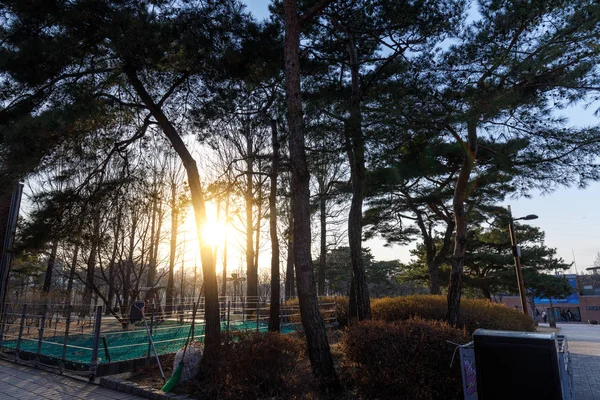 View Seonyudo Park Seoul South Korea Park Used Filtration Plant — Stock Photo, Image