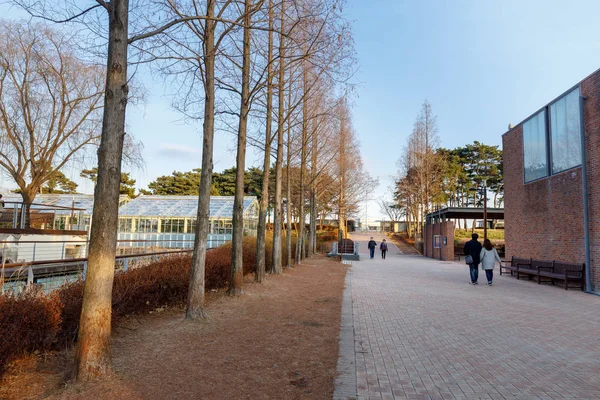 Vista Del Seonyudo Park Seúl Corea Del Sur Parque Solía — Foto de Stock