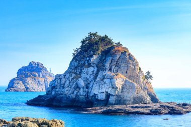 Busan, Kore Oryukdo Adaları toplayan