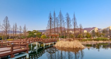 Gimhae Yeonji Parkı'nda kış