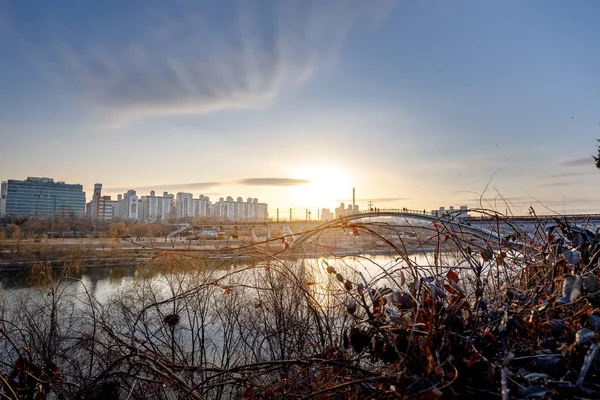 Seoul, Güney Kore Seonyudo Park manzarası. Parkta bir Filtrasyon tesisi, böylece endüstriyel bak, eskiden ama ekolojik bir parka dönüştürüldü.
