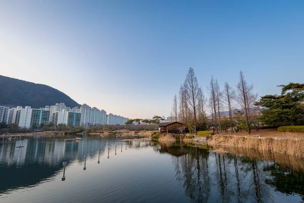 Gimhae Yeonji Parkı'nda kış